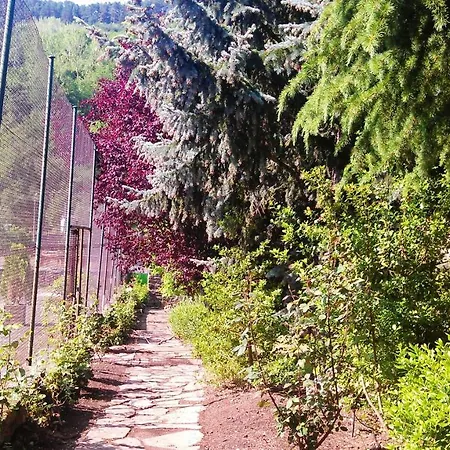 4 Bedrooms House With Enclosed Garden At Pradoluengo